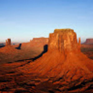 Meet your Posher, Wing